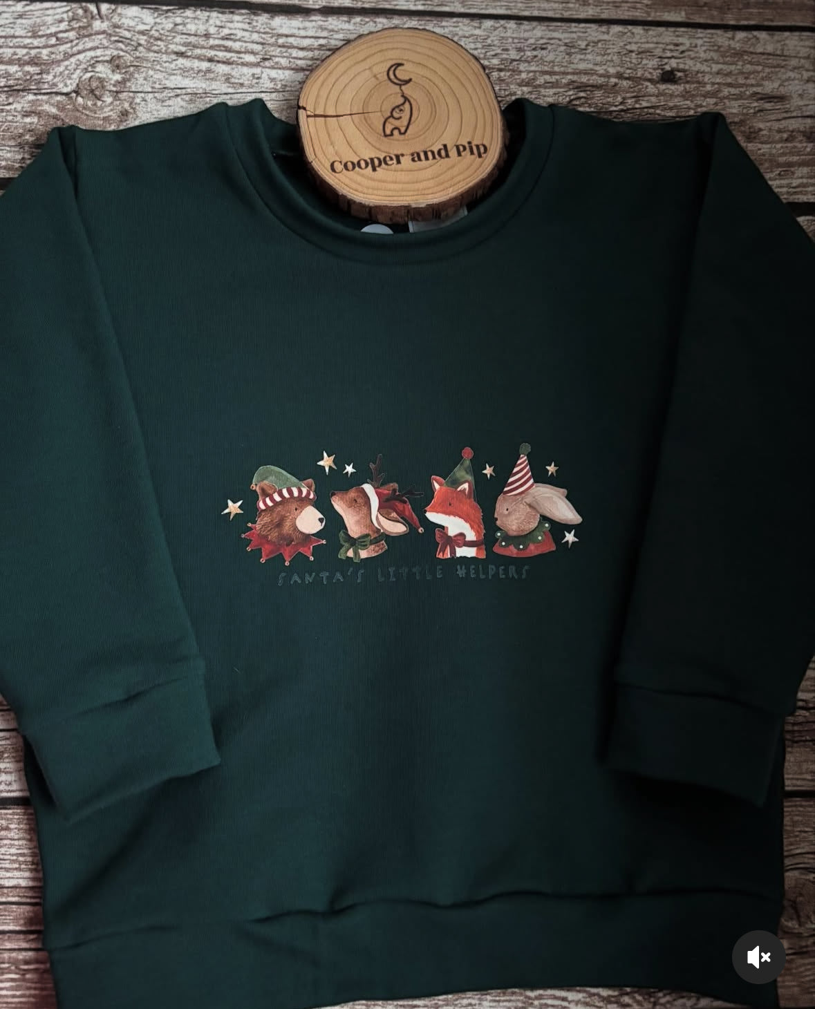 Plain sweater with transfer