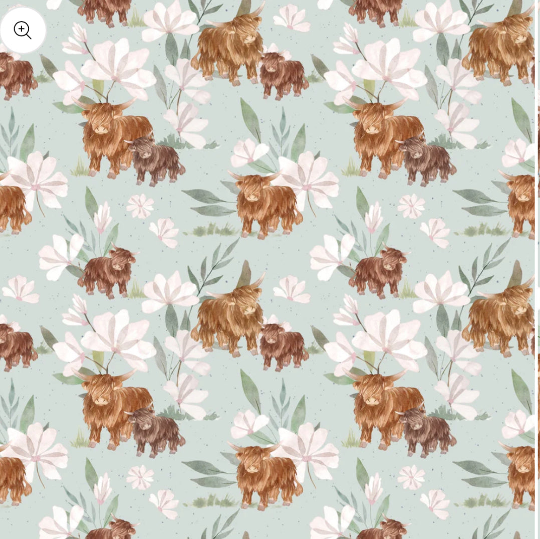 Highland cow