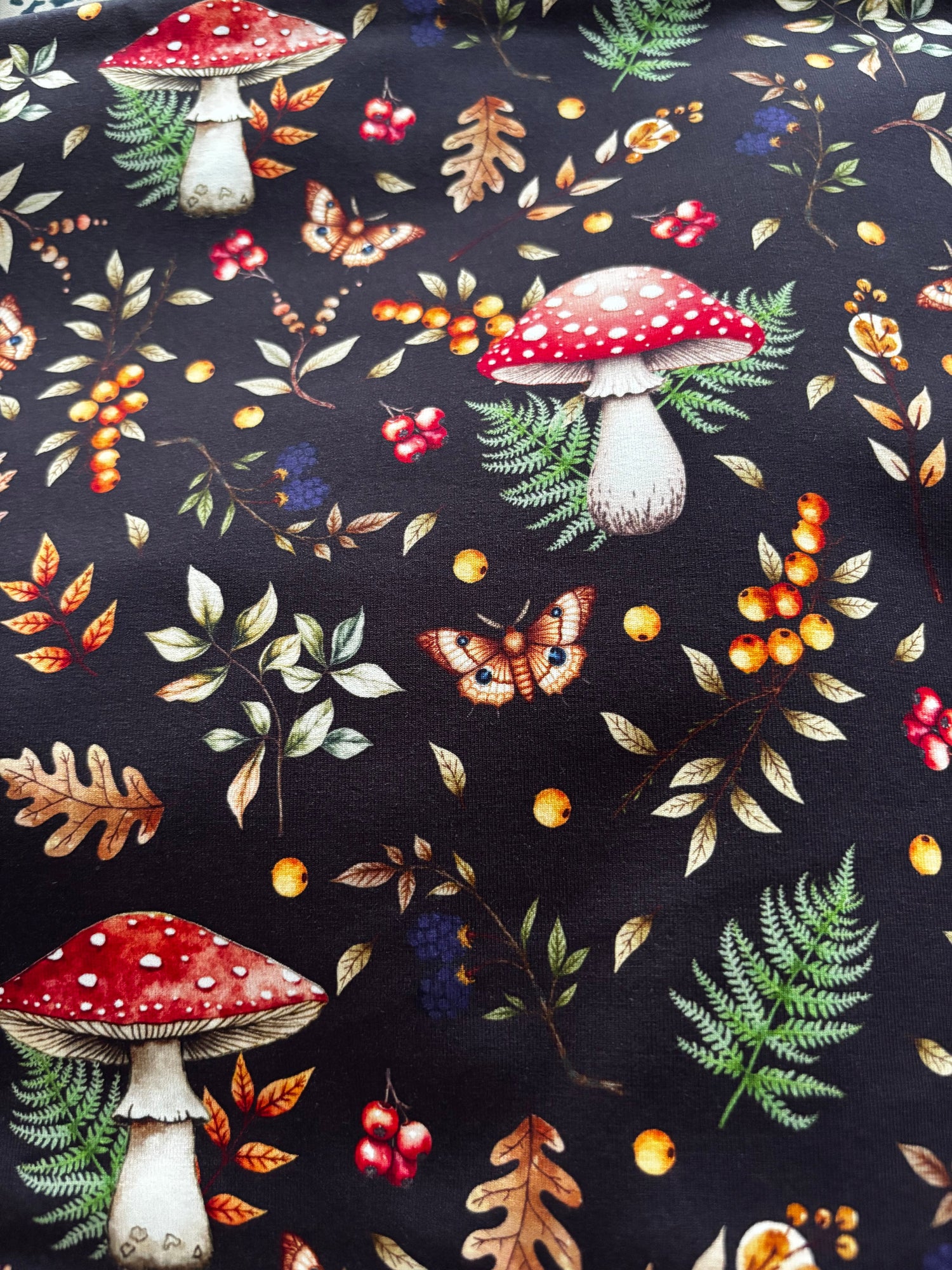 Toadstool