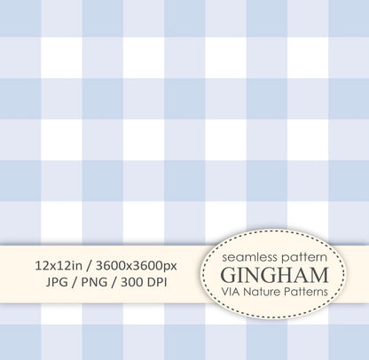 Dresses-blue gingham